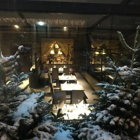 Des Alpes Hotel 3*